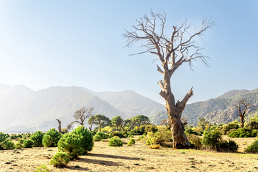 Similar image 21749095