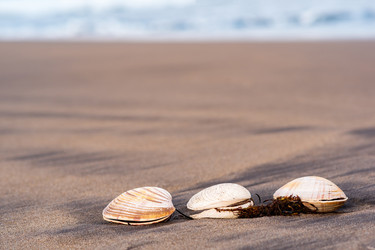 Similar image 21749098