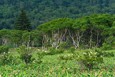 Similar image 21749106