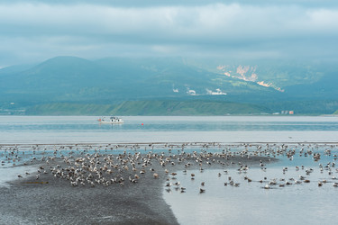 Similar image 21749118