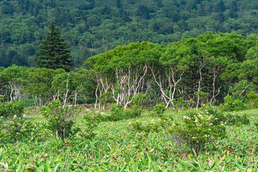 Similar image 21749126