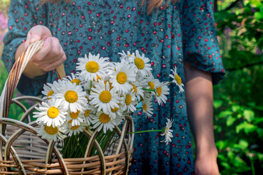 Similar image 21754643