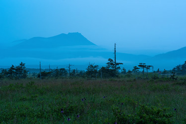 Similar image 21749668