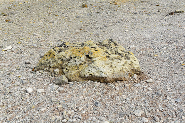 Similar image 21749675