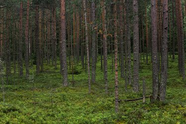 Similar image 21750132