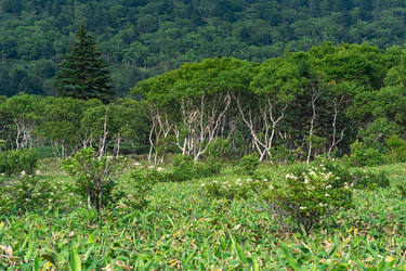 Similar image 21750369