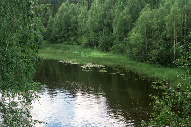 Similar image 21750586