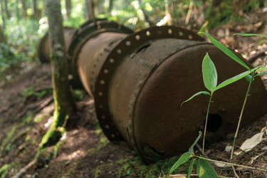 Similar image 21750588