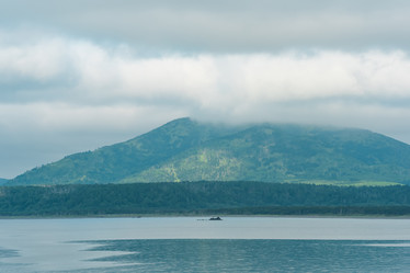 Similar image 21750964