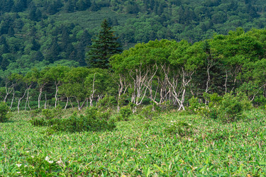 Similar image 21748189