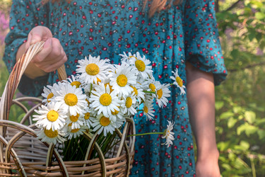 Similar image 21751768