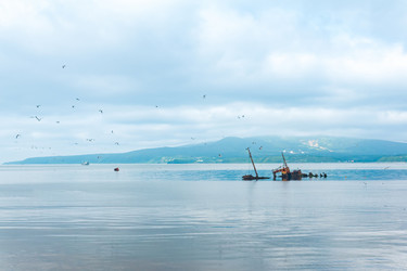 Similar image 21749134