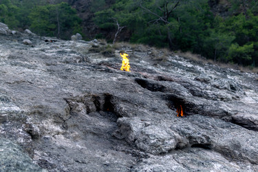 Similar image 21749138