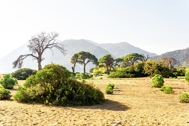 Similar image 21749143