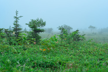 Similar image 21749718