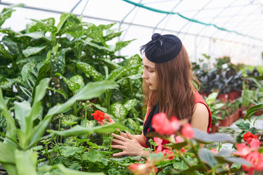 Similar image 21757159