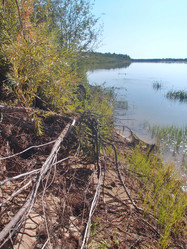 Similar image 21747206