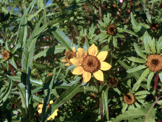 Similar image 21747213