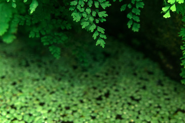 Similar image 21749158