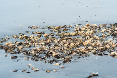 Similar image 21749160