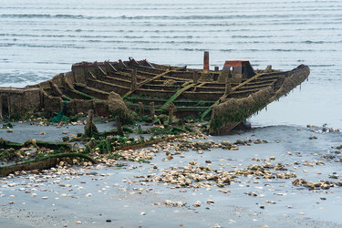 Similar image 21749178