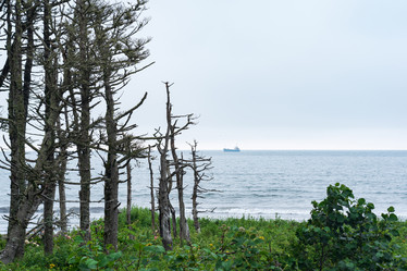 Similar image 21750377