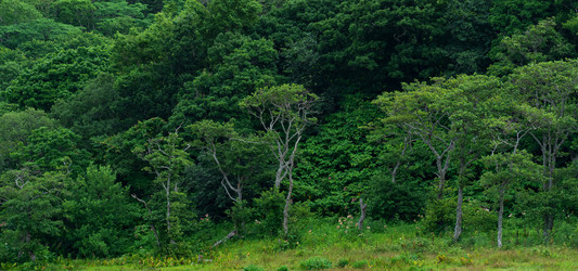 Similar image 21750381