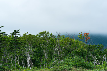 Similar image 21750594