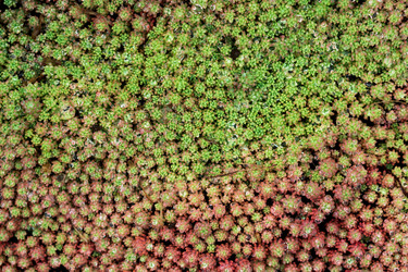 Similar image 21750596