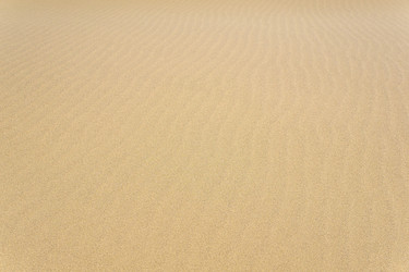 Similar image 21750601