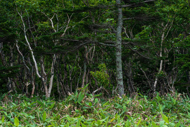 Similar image 21750976