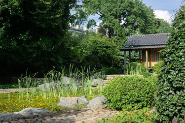 Similar image 21750977