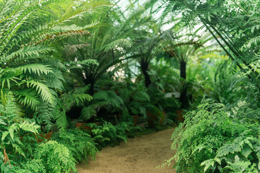 Similar image 21751208