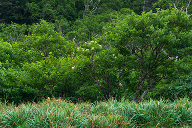 Similar image 21749193