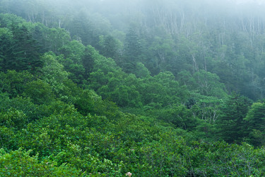 Similar image 21749196