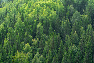 Similar image 21749200