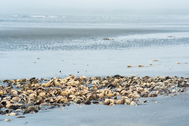 Similar image 21749207