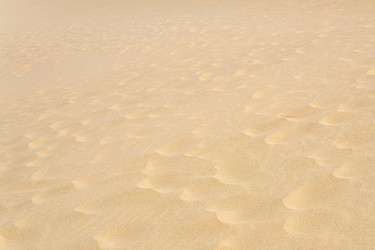 Similar image 21749208