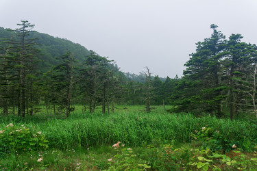 Similar image 21749219