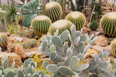 Similar image 21749989