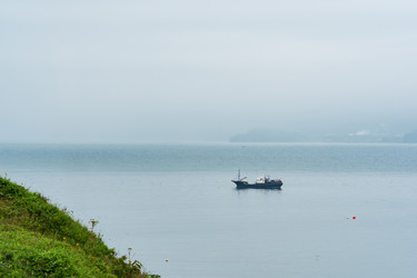 Similar image 21749990