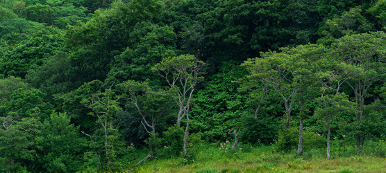 Similar image 21750142