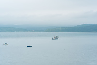 Similar image 21750390