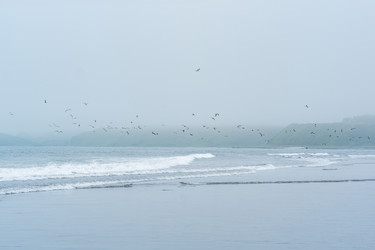 Similar image 21750606