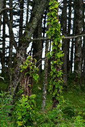 Similar image 21750613