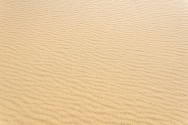 Similar image 21750986