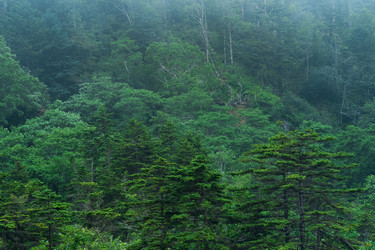 Similar image 21748642