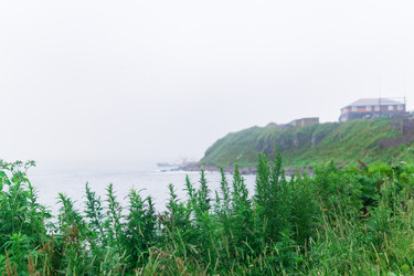 Similar image 21748652