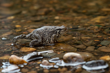 Similar image 21748654