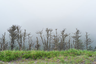 Similar image 21749223